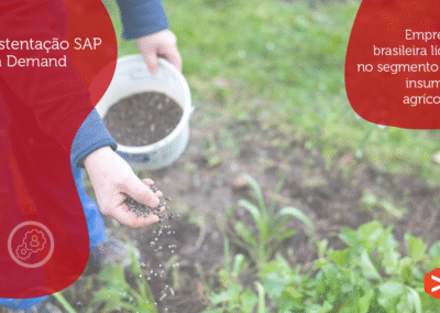 Sustentação SAP